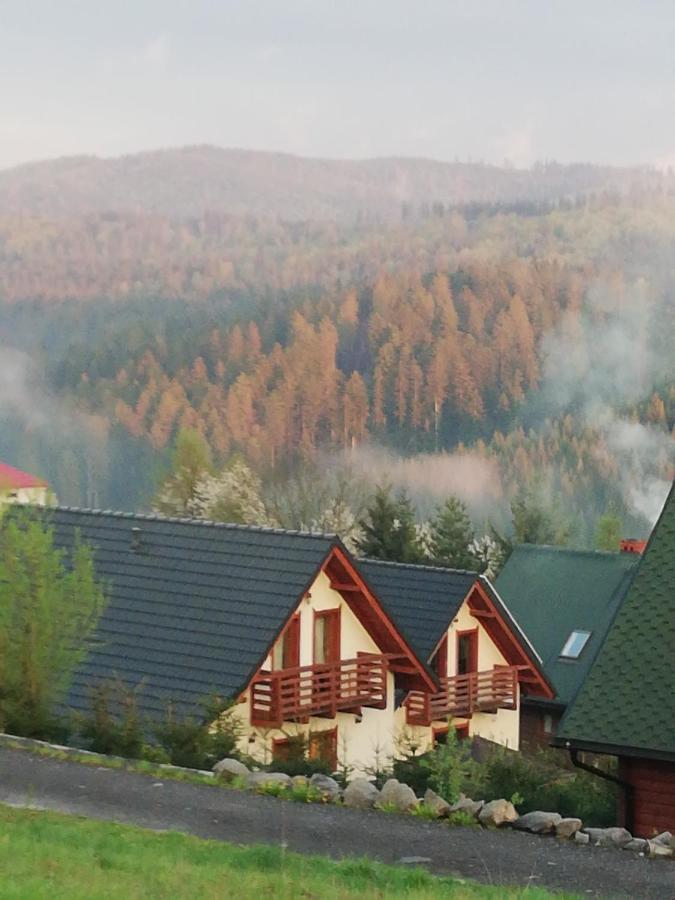 Domek U Malysza Istebna Exterior photo